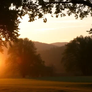A peaceful outdoor scene symbolizing Tim Kelleher's legacy.