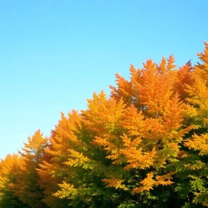Beautiful fall scenery in Southeast Michigan with vibrant leaves and clear sky