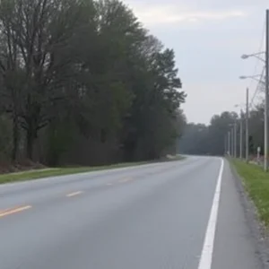 Scene of a fatal crash in Dexter Township, with trees lining a rural road.